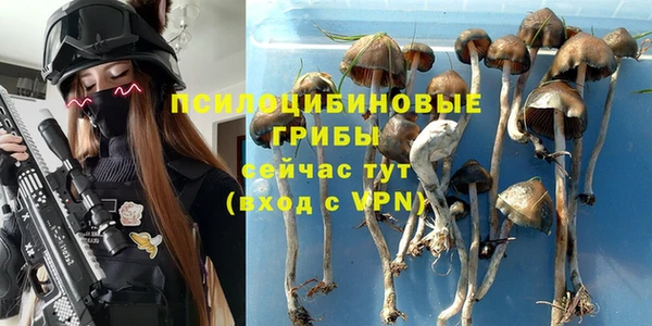 винт Михайловск