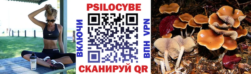 Галлюциногенные грибы мухоморы  дарнет шоп  Котельниково 